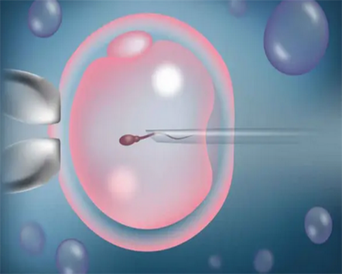 试管移植后出现胎停的情况?