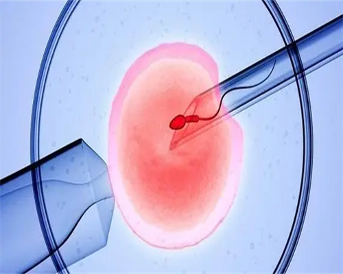 香港验血会搞错血样吗?为你总结2026我的成功验,过孕十周香港验血