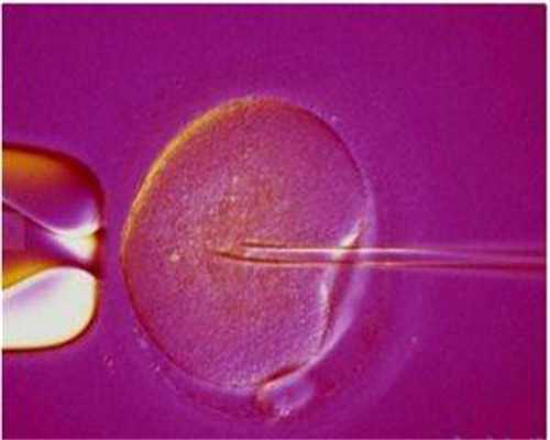 ,香港验血有报告久一定准吗