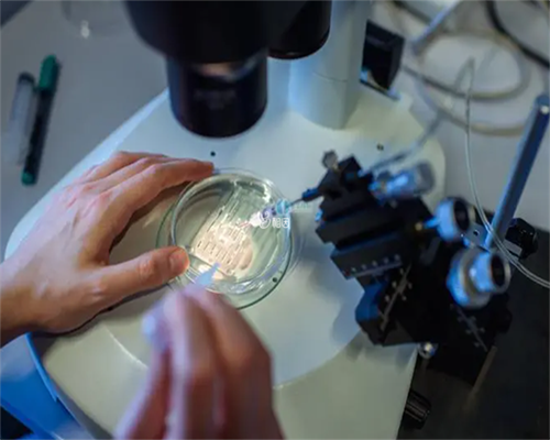 ,香港验血 假中介