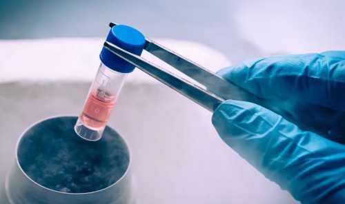 怀孕14周才去香港验血
正规的查验性别规范准确率高,香港验血多少天才比较准