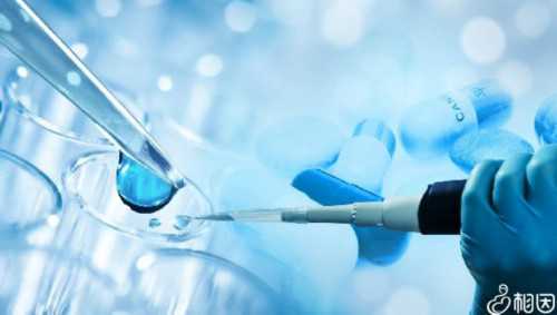 甲亢试管移植影响大不大？甲亢试管移植影响大不大？