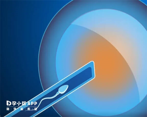 香港验血含y会不会生女孩?宝妈用亲身经历告知我们实在内情,香港验血测男女哪