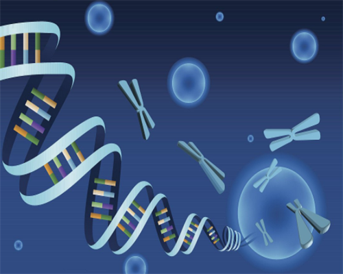 香港验血要几周,查男女你所不知道的事,香港验血邮寄有误
