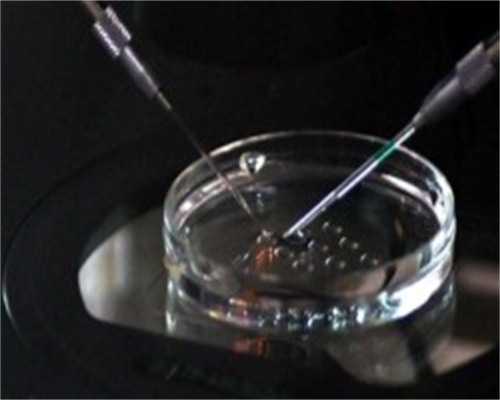 为什么香港验血的准确性这么高？,香港验血邮寄血液时间规定