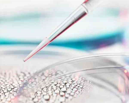 柬埔寨做试管婴儿的技术怎么样?好不好?