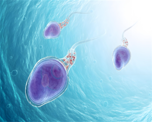 子宫附件彩超怎么检查的,香港验血为什么准