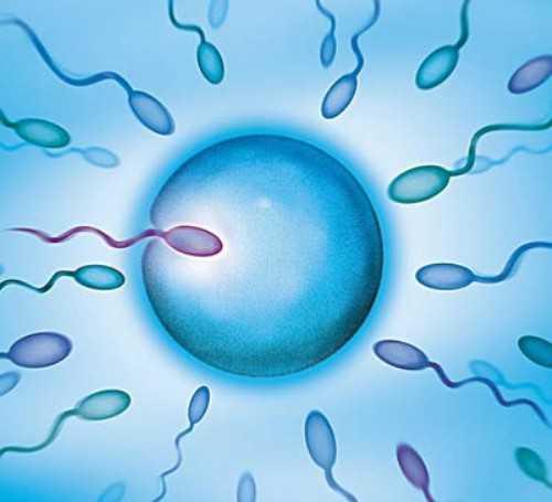 湖南长沙哪个医院做试管婴儿最好？选择试管婴儿医院