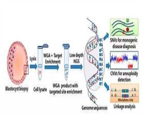 孕妇孕酮低吃什么好呢,邮寄香港验血男孩生了女孩