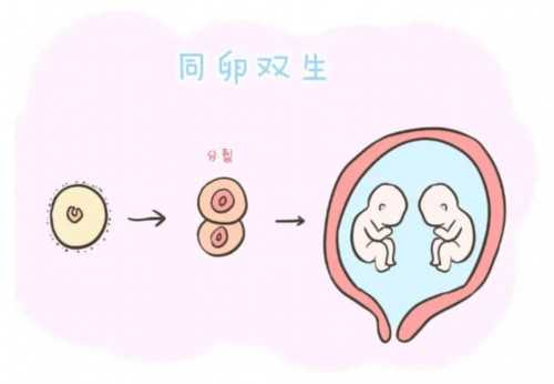 怀孕七周没有卵黄囊，但是HCG涨~助孕代怀医院