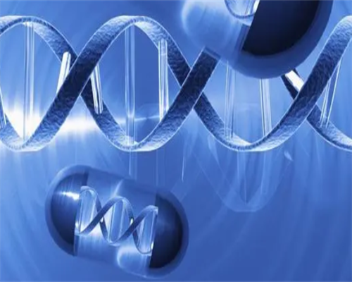 孕妇能不能吃鸽子蛋,香港验血中心有哪几家