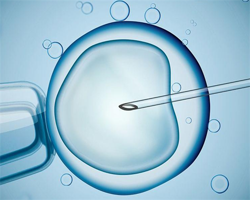 香港验血没y生了男孩原因，精髓都在这里了，必,香港验血化验所官网会造假吗