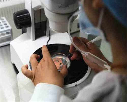 香港验血等待结果的过程好煎熬,供卵-供卵价格_高颜值高学历高智商的组合