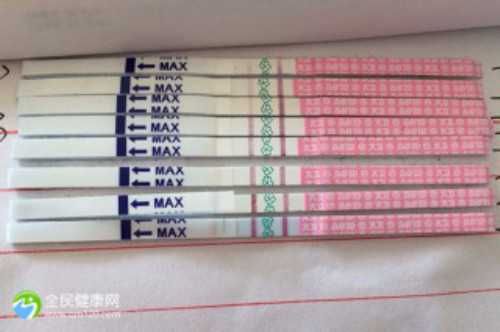 孕妇几个月穿防辐射内裤,香港验血辨别男女准吗