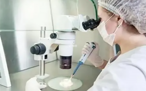 怀孕6周怎样去香港验血查男女?,香港验血检测性别费用多少