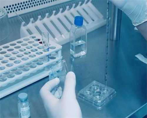 移植优质胚胎成功率高吗？~代怀代生机构