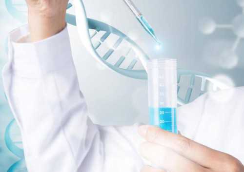 西安试管代怀资料,西安地下捐精，不止明面看学历