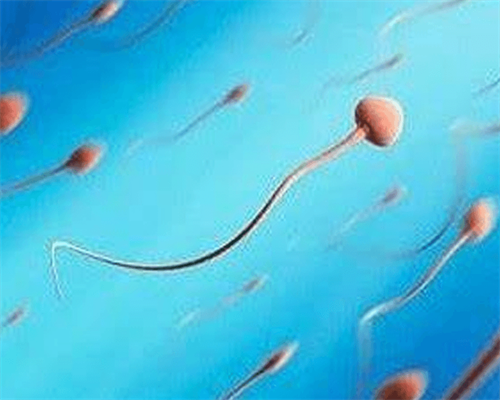 香港验血化验所报告化验师_总结下香港鉴定性别,亲自香港验血是女宝