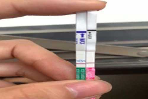 寄血去香港验血几点出结果,香港弥敦道26号验血准吗？这个给准备去的宝妈一