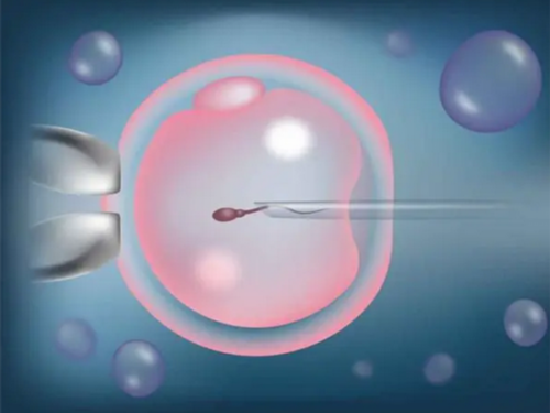 香港验血两次结果,快速的六周知男女服务寄检服务