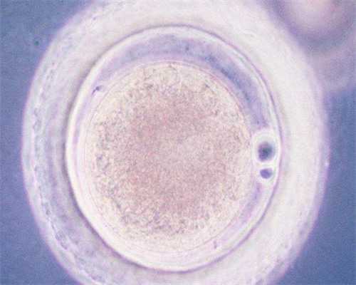 西安供卵包生,陕西西安试管婴儿费用