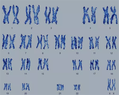 失独家庭做试管婴儿的费用是多少~试管代生孩子