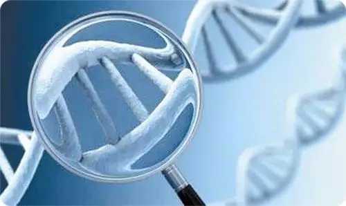 10秒测出怀男孩和女孩_哪家化验所最权威你知道,香港七周验血出错