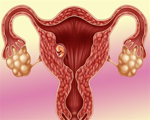 香港化验所HKLAB，成功的验血经历宝妈可以借鉴,香港尖沙咀验血怎么预约