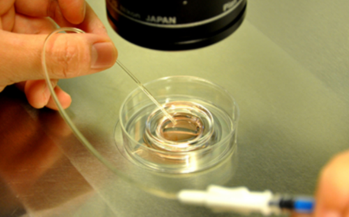 5个生活习惯帮你养出“好”卵泡，你能做到几个？,宝妈们香港验血准吗