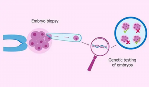 惊呆了!孕晚期验血看男女，该怎样验？我来告知你！,香港化验所验血查性别多