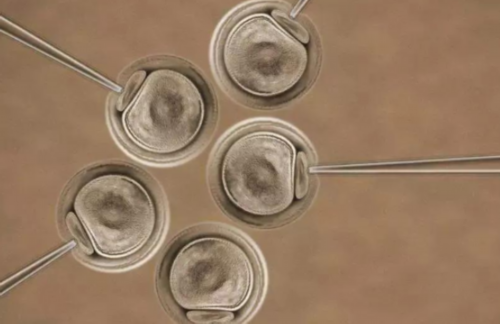 香港验血是如何进行？,香港验血13周可以验吗