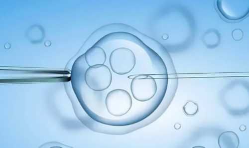 【香港化验所】银耳百合孕妇能不能吃,怀孕验血送香港准吗