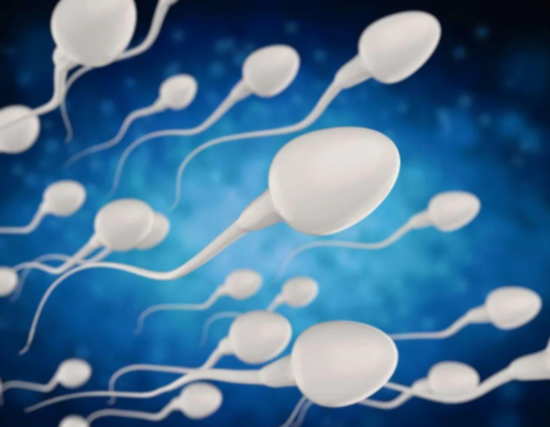 胎停一天后又有胎心了~求子代怀