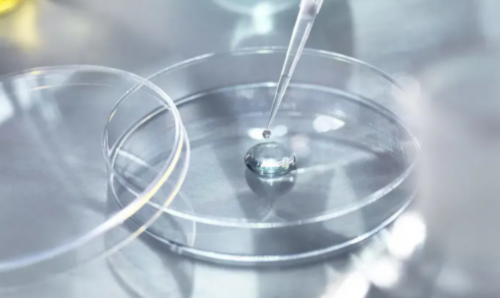 性别鉴定一般什么时期
香港验血六周可以验吗-香港验血去哪里抽血,香港预约