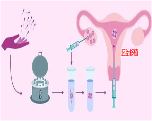 孕中期同房,香港验血需要胎芽多长时间