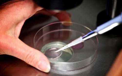 孕妇能不能吃糖炒山楂,香港验血诊所地址