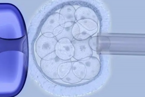 鲜胚移植成功的十个征兆(鲜胚移植成功征兆有哪些)