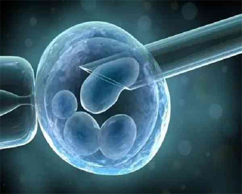 西安借卵试管选男女,2026年在西安私立医院做三代试管婴儿生男孩费用大概是多