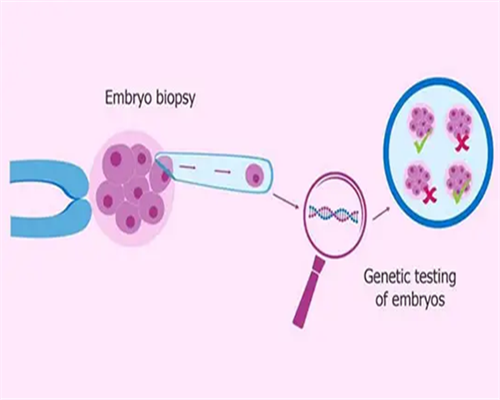 记录北医三院试管经历（鲜胚移植失败）