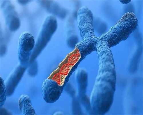 试管婴儿促排卵需要多长时间?,香港验血报告单图男女