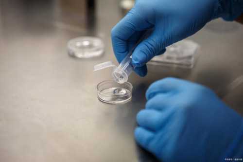 「泰国洗精术」泰国康民医院洗精要求