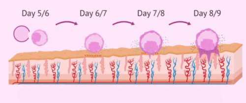 孕妇照nt是检查什么的,50多天验血给香港
