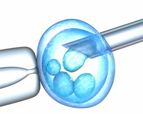 去香港验血看宝宝性别准吗？验血的最全攻略要 怀孕才能知道胎儿性别鉴定
