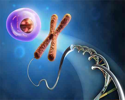 香港验血怎么查结果,香港抽血男女要怀孕几周,本公司对您的结果报告