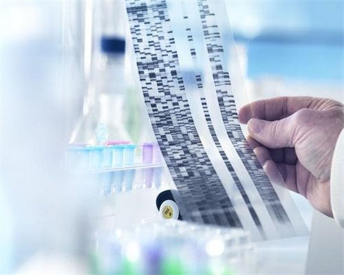 上海三代试管医院排名第一名~代生宝宝价格