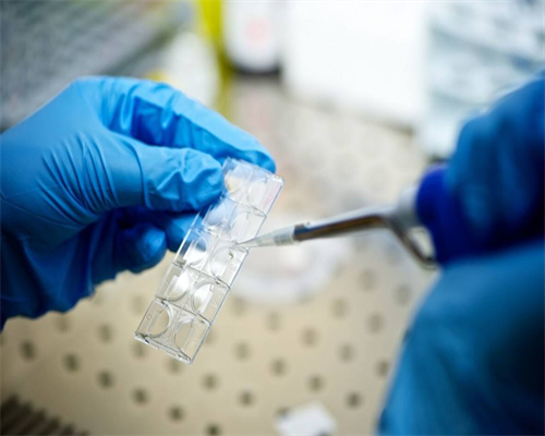 ,香港验血B超7周是怎样算的