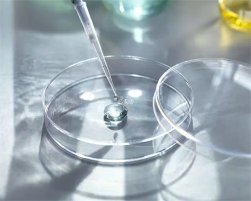 香港邮寄验血几天知道结果,孕妇宜吃哪些食物