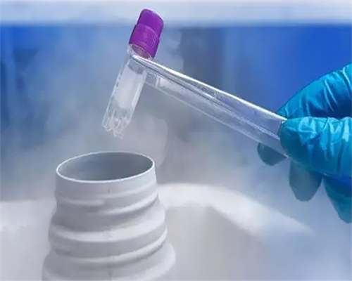 子宫前位做什么运动可以纠正?~包生代怀儿子