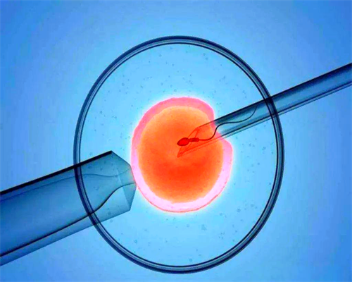 西安找人代生价格,供卵怎么收费的,西安供卵中心