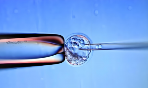 西安代怀孕公司,唐都医院三代试管怎么样,请问西安唐都医院第三代试管怎么样